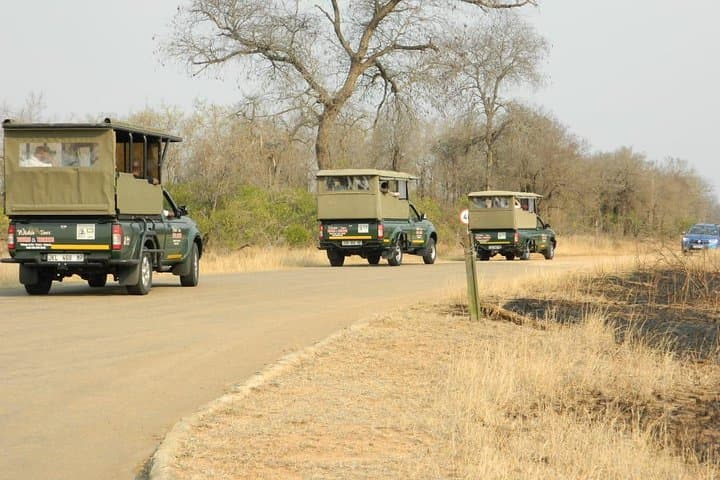 Half-Day Kruger Park Safari from Hazyview – Big Five Game Drive photo 3