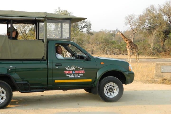 Half-Day Kruger Park Safari from Hazyview – Big Five Game Drive photo 6