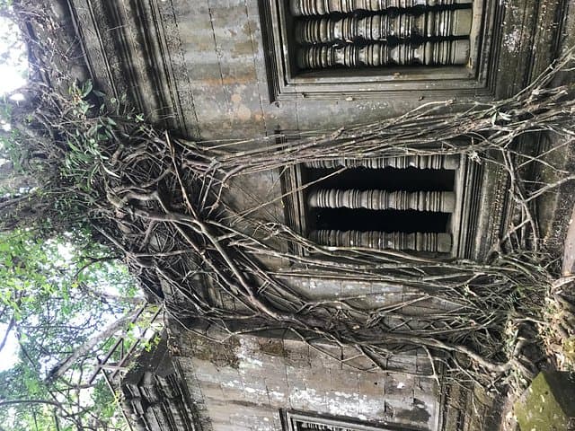 Full-Day Koh Ker & Beng Mealea: Remote Jungle Temples from Siem Reap photo 3