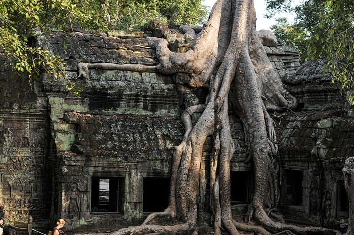 Full-Day Koh Ker & Beng Mealea: Remote Jungle Temples from Siem Reap photo 6