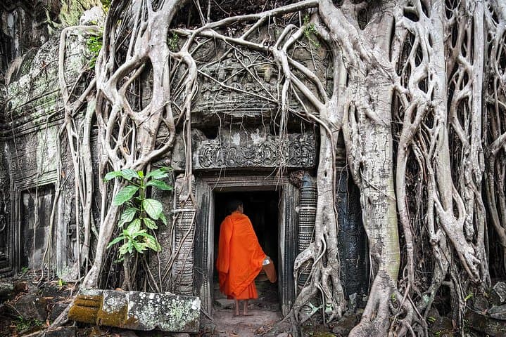 Full-Day Koh Ker & Beng Mealea: Remote Jungle Temples from Siem Reap photo 2