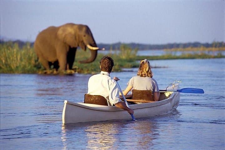Lake Manyara Day Safari: Tree-Climbing Lions & Six-Hour Game Drive