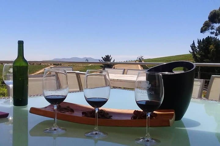 Full-Day Cape Winelands Wine Tour: Paarl, Stellenbosch & Franschhoek Tastings photo 5
