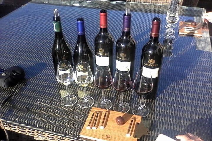 Full-Day Cape Winelands Wine Tour: Paarl, Stellenbosch & Franschhoek Tastings photo 6