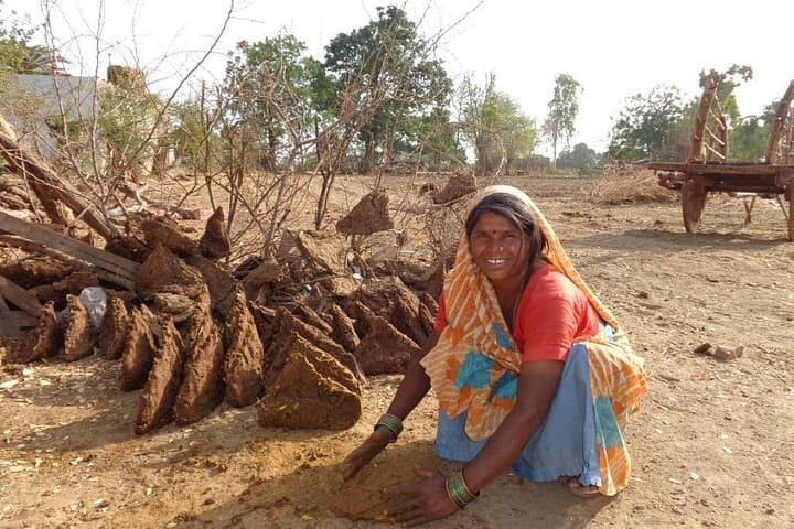 Orchha Tribal Village Walk & Taragram Paper Project — Half-Day Cultural Visit photo 4