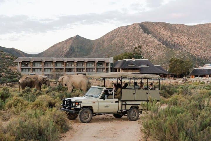 Cape Town 3-Day Highlights: Aquila Safari, Cape Peninsula & Constantia Wine Tour photo 6