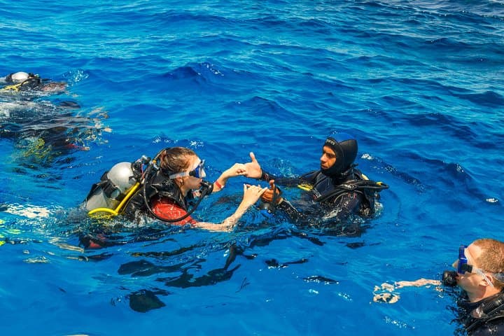 Bodrum Scuba Diving: Aegean Reef Dives & Clear-Water Excursions photo 3