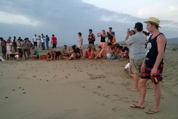 Puerto Escondido Turtle Release and Bioluminescent Lagoon Night Tour photo 3