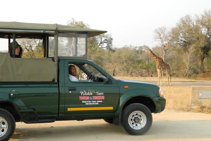 Full-Day Kruger National Park Safari from Hazyview — Big Five Game Drive photo 2