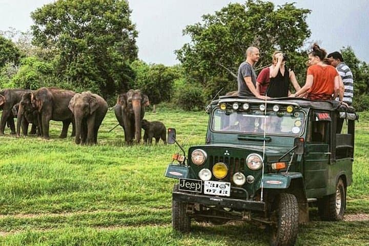 Sri Lanka 18-Day Wildlife & Nature Expedition — Whales, Elephants and Cultural Sites