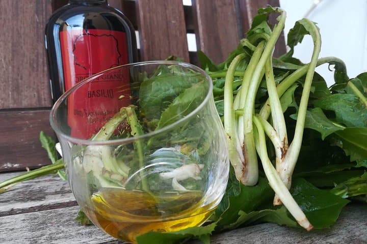 EVO Tour & Tasting at the Olive Tree of Macciano — Umbrian Farm Visit and Oil Tasting photo 5