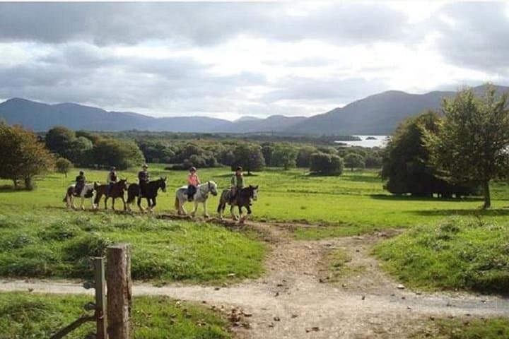 Killarney National Park Horseback Ride — Guided 1-Hour Trail at Knockreer Estate