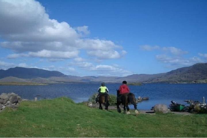 Killarney National Park Horseback Ride — Guided 1-Hour Trail at Knockreer Estate photo 2