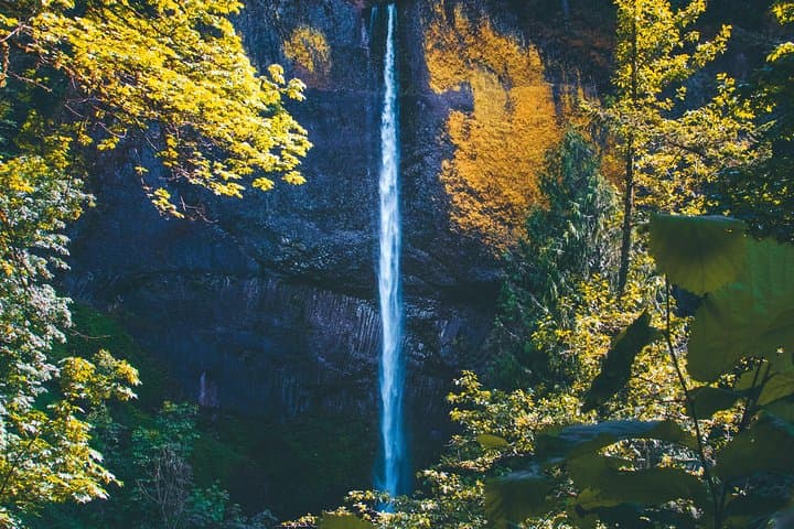 Columbia River Gorge Waterfalls Day Tour: Multnomah, Latourell & Bridal Veil with Vista House photo 3