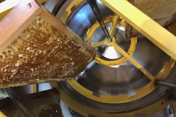 Umbria Honey Tour & Tasting at the Macciano Olive Tree photo 4