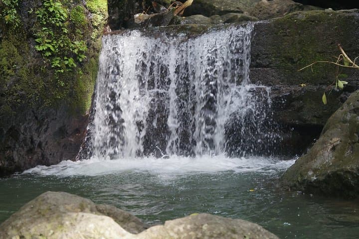 Ecological Panama: 6-Day Nature Tour from Panama City photo 2