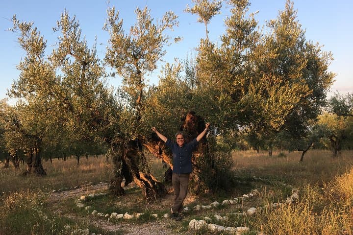 Umbria Honey Tour & Tasting at the Macciano Olive Tree photo 6