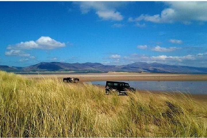 Explore Killarney National Park on a Scenic 2-Hour Guided Horseback Ride photo 3