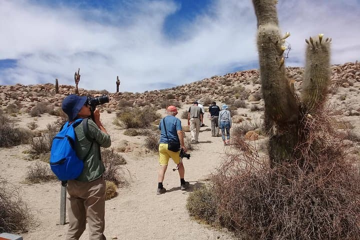 2-Day Cachi Adventure: El Algarrobal, Los Colorados & La Poma