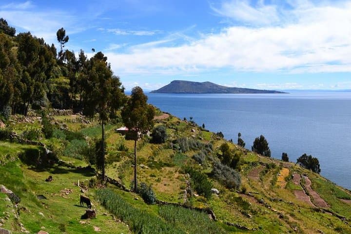 Explore Lake Titicaca: Uros Floating Islands, Amantani & Llachón Day Tour from Cusco photo 6
