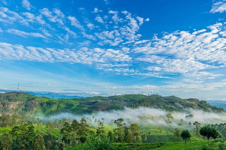 Lipton's Seat & Dambatenna Tea Factory: Haputale Plantation Walk and Panoramic View