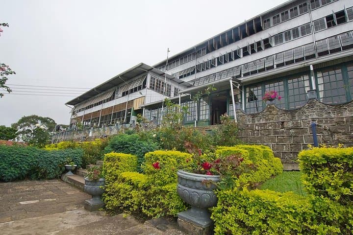 Lipton's Seat & Dambatenna Tea Factory: Haputale Plantation Walk and Panoramic View photo 5