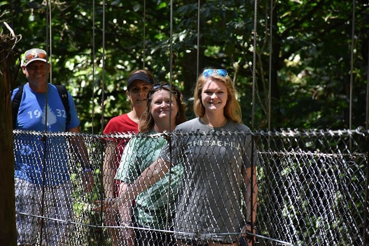 Arenal Hanging Bridges, Volcano Hike & Night Walk — Mistico Park Adventure photo 1