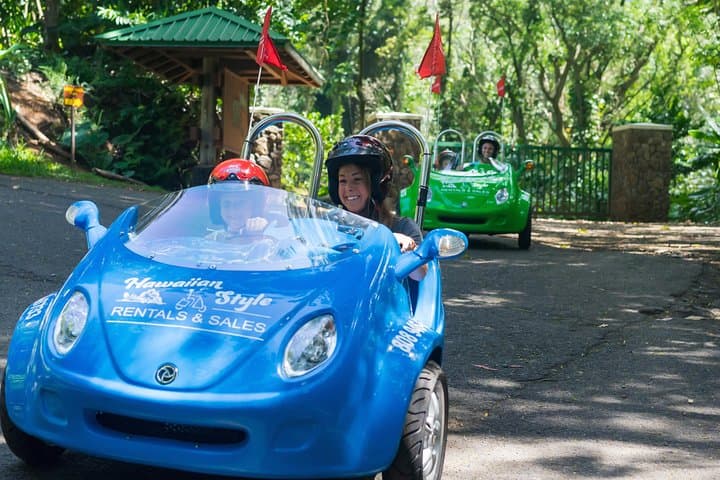 Waikiki Scoot Coupe Rental: Cruise Honolulu's Top Sights in a Two-Person Moped photo 2
