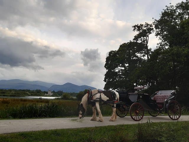 Exploring Killarney National Park by Jaunting Car: Scenic Routes and Timeless Views photo 2