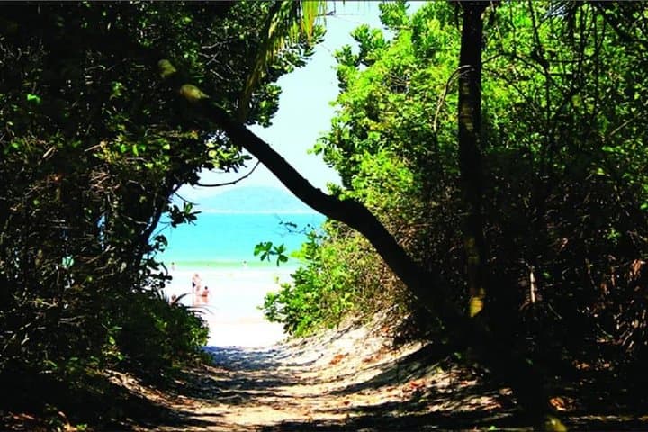 Lopes Mendes Beach Trek from Abraão — Ilha Grande Day Trip to Pristine Sand and Surf photo 6