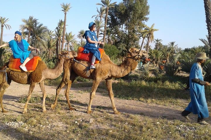 Sunset Camel Ride in Marrakech Palmeraie — Palm Grove Trek & Berber Tea photo 4
