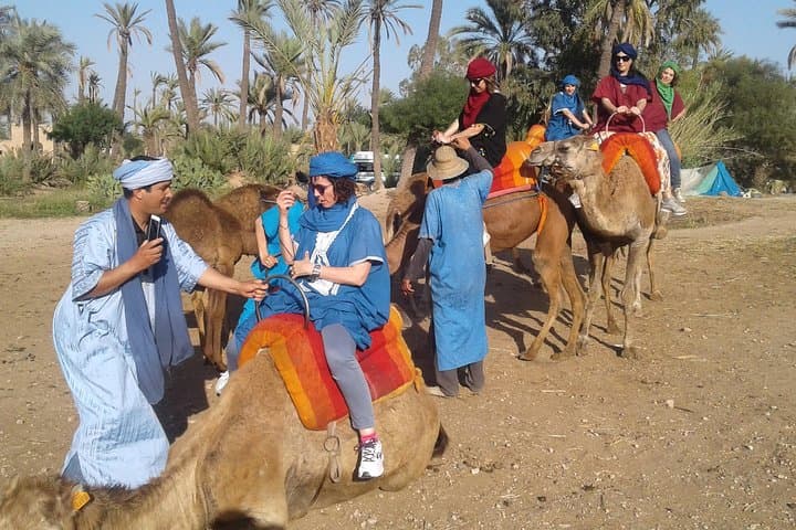Sunset Camel Ride in Marrakech Palmeraie — Palm Grove Trek & Berber Tea photo 6