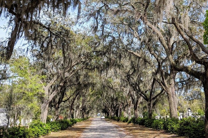 Private Tour of Savannah's Historic Squares, Victorian District & Bonaventure Cemetery photo 1