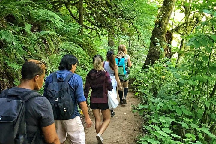 Into the Moss: A Morning in Portland’s Forest Park