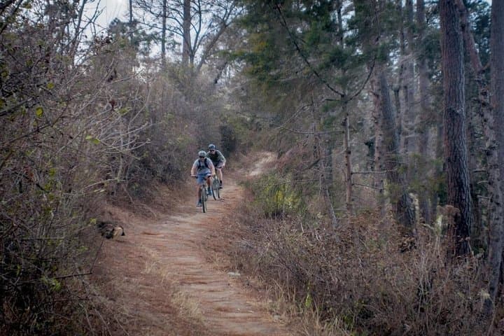 Las Tierras Altas Lujo: Antigua 30km Mountain Bike Through Coffee, Pine & Ancient Trails photo 3