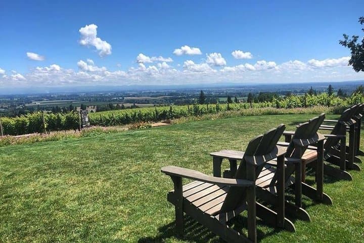 Willamette Valley Wine Tasting Tour from Portland: Pinot Noir, Vineyards & Viticulture photo 6