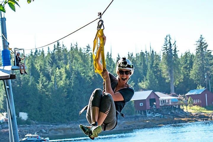 Ketchikan Rainforest Canopy Zipline: Shore Excursion Through Ancient Cedars