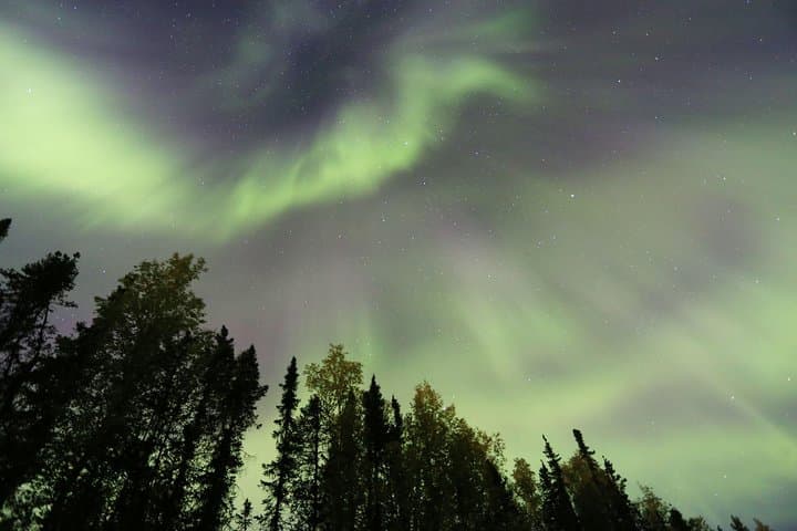 Fairbanks Northern Lights & Dog Sledding Tour with Cabin Dinner photo 2