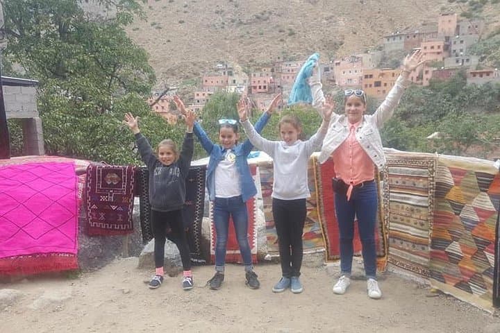 Ourika Valley Day Excursion: High Atlas Views, Berber Villages & Waterfalls from Marrakech