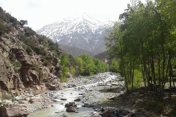 Ourika Valley Day Excursion: High Atlas Views, Berber Villages & Waterfalls from Marrakech photo 4