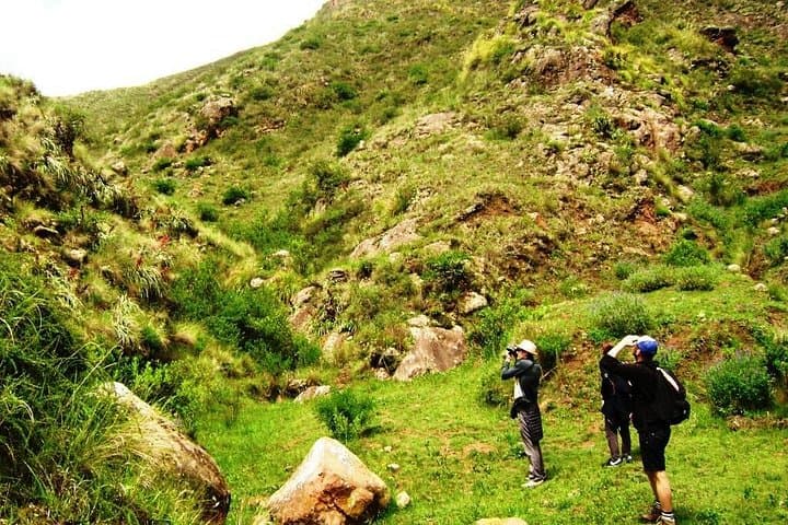 Trekking al Torreon: High-Andean Hike through Los Cardones National Park photo 1