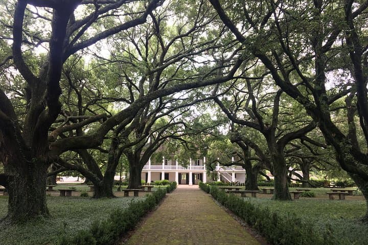 Whitney Plantation Private Tour: River Road History with Round-Trip Transport from New Orleans