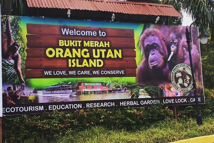 Orang Utan Island Day Tour: Bukit Merah Orangutan Sanctuary from Kuala Lumpur photo 3