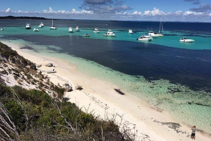 Rottnest Island Day Trip: Ferry, Bike Hire & Snorkel Guide from Perth photo 6