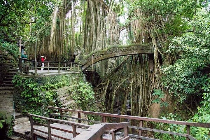 Ubud Sacred Monkey Forest and Art Village Tour — Half-Day Wildlife & Craft Walk photo 3