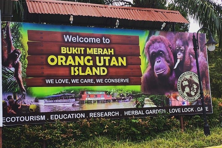 Private Orang Utan Island & Perak Tong Day Tour from Kuala Lumpur photo 3