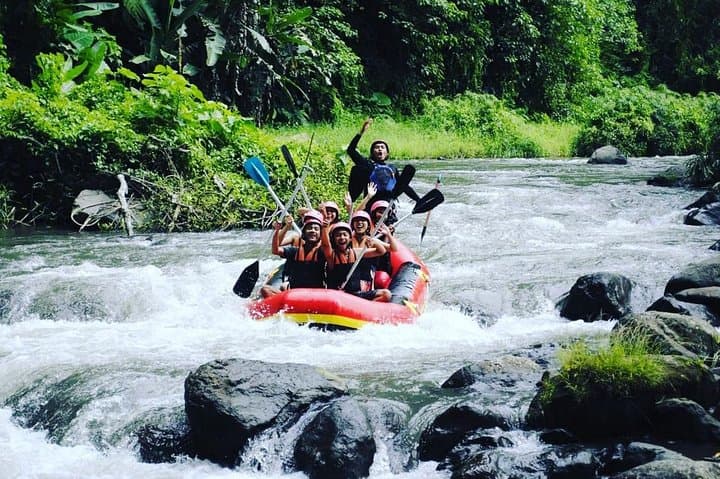VW Classic Transfer and Ayung River Rafting from Ubud with Tegallalang Lunch