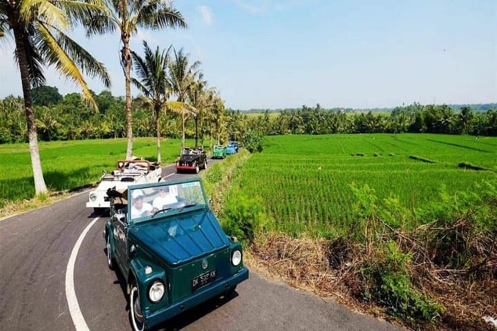 VW Classic Transfer and Ayung River Rafting from Ubud with Tegallalang Lunch photo 3