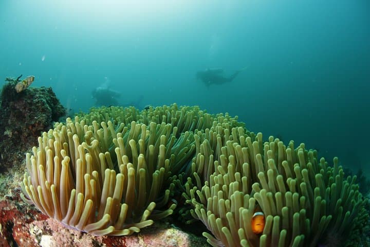 Boracay Scuba Intro: SSI Basic Diver Course for Beginners photo 2
