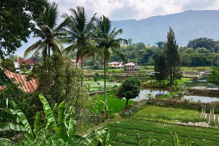 North Sumatra in Seven Days: Jungle Trekking, Sibayak Summit & Lake Toba photo 2